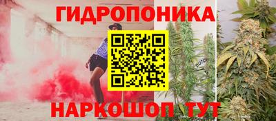 дживик Новоалтайск