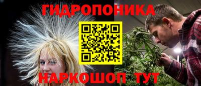 дживик Новоалтайск