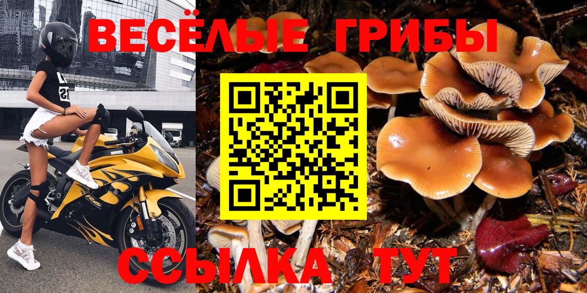 Галлюциногенные грибы GOLDEN TEACHER Ессентуки