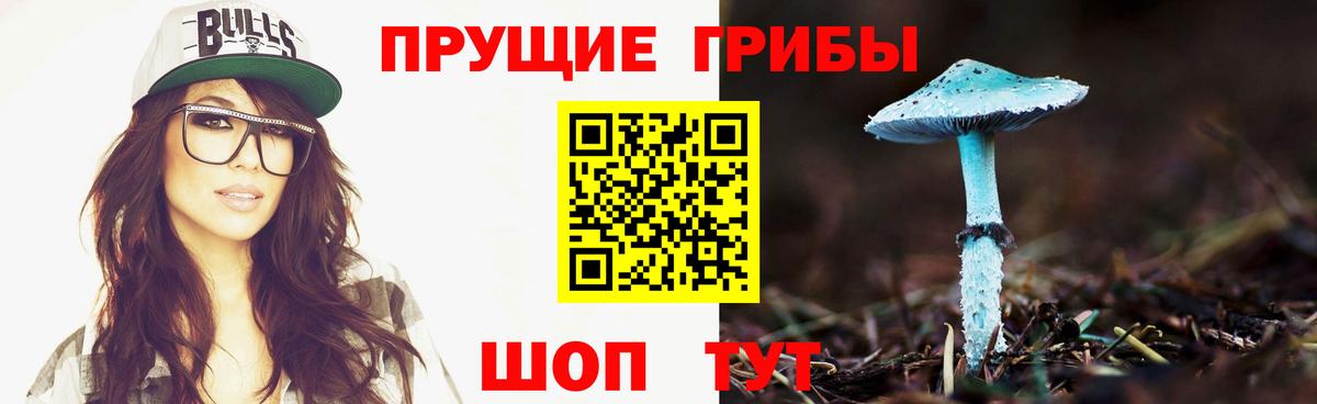 Псилоцибиновые грибы MAGIC MUSHROOMS  Псилоцибиновые грибы мухоморы  Вход с VPN  Ессентуки 